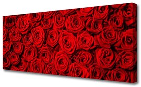 Tablou pe panza canvas Trandafiri Floral Roșu Verde Alb