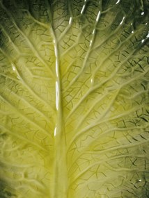 Farfurie din ceramica, D24cm, Lettuce