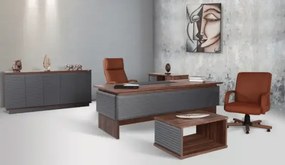 Birou directorial Talas