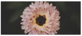 Tablou cu floare portocalie (120x50 cm)