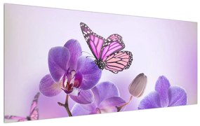 Tablou cu fluture pe floare de orhidee (120x50 cm), în 40 de alte dimensiuni noi