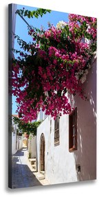 Tablou canvas Rhodes Grecia
