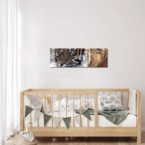 Tablou cu tigrul (cu ceas) (90x30 cm)