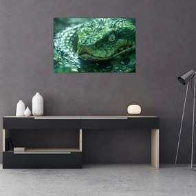 Tablou - Portret de șarpe (90x60 cm)