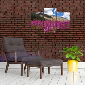 Tablou sceneriei cu lunca montană (90x60 cm)