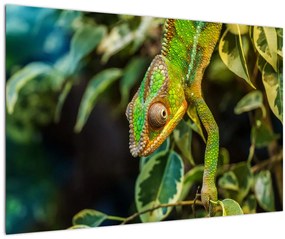 Tablou cu cameleon (90x60 cm)
