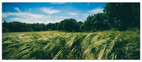 Tablou cu linca și pădure (120x50 cm)