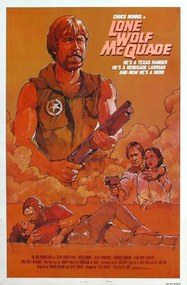 Ilustrație Lone Wolf Mcquade 02