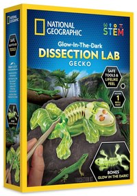 NATIONAL GEOGRAPHIC - KIT CREATIV LABORATOR DE DISECTIE SOPARLA - NATIONAL GEOGRAPHIC (NG23036)
