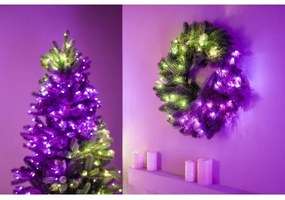 Twinkly GD20P4425P00 - Ghirlandă LED RGB reglabilă 50xLED, pr. 60 cm, Wi-Fi