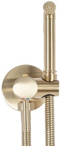 Baterie bideu Lungo Loop Gold Brush