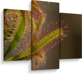 Tablou cu plantă (90x60 cm)