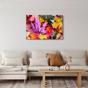 Tablou - frunze de toamnă (90x60 cm)