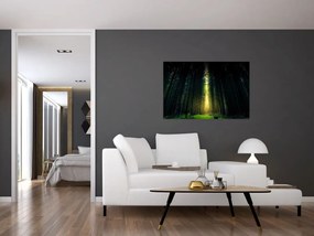 Tablou cu pădurea întunecată (90x60 cm)