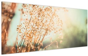 Tablou - Plante după ploaie (120x50 cm)