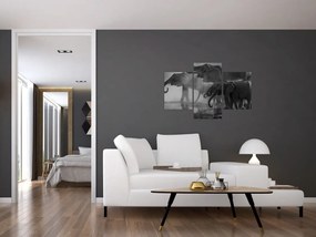 Tablou cu elefanți - albnegru (90x60 cm)
