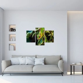 Tablou cu cameleon (90x60 cm)
