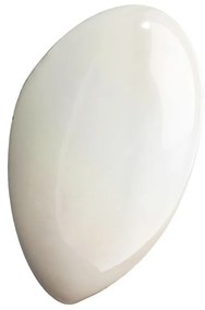 Aplica de perete moderna Lotus White