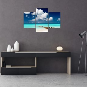 Tablou cu mare (90x60 cm)