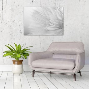 Tablou pe sticlă - Dandelion (70x50 cm)