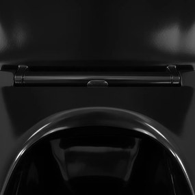 Roya Tina 82CHR set rezervor de toaletă de perete negru