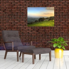 Tablou - Privire de pe deal (70x50 cm)