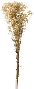 Buchet gysophila, Rachita Bambus, Alb, 10x5x84 cm