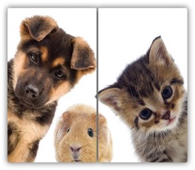 Tocator din sticla Animale de companie