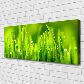 Tablou pe panza canvas Weed Natura verde