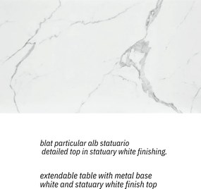 MASA PANDORA LUX- STICLA CERAMICA CU  PICIOR METALIC