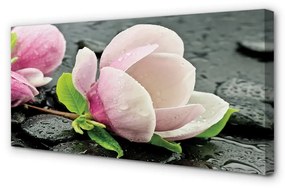 Tablouri canvas pietre Magnolia
