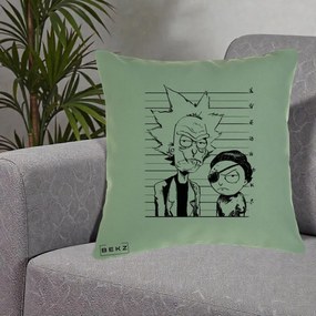Perna Personalizata Rick si Morty Dosar, 40x40 cm, Verde, Husa Detasabila, Perna Inclusa, BEKZ®