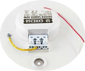 Plafonier LED dimabil SAMER 40W 230V 2900-6000K cu telecomandă