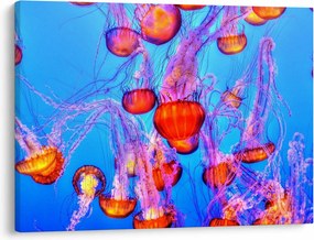 Tablou cu meduse în mare (70x50 cm)