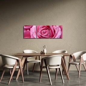 Tablou cu trandafir (cu ceas) (90x30 cm)