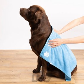 Prosop pentru animale – Love Story