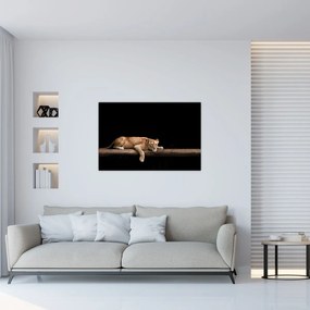 Tablou - Lioness (90x60 cm)