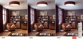 Brilagi - Lampă LED dimabilă VELVET SM. 36W/230V 3000-6000K Ø 55 cm vișinie WT + telecomandă