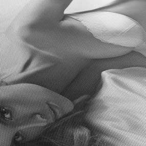 Tablou - Boudoir alb-negru (cu ceas) (90x30 cm)