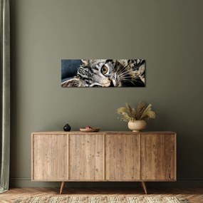 Tablou - Pisoi (cu ceas) (90x30 cm)