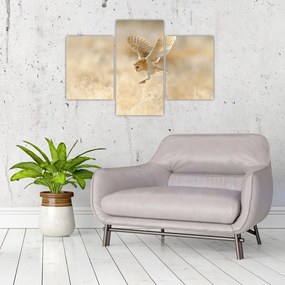 Tablou - Bufnița roșie (90x60 cm)