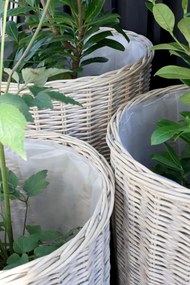 Set 3 Ghivece French Basket din salcie impeltita, Jardin