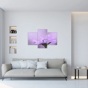 Tablou - Flori mov (90x60 cm)