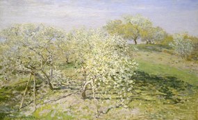 Reproducere Spring – Fruit Trees in Bloom (1873), Claude Monet