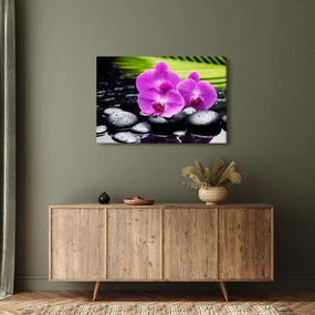 Tablou - Orhidee (90x60 cm)