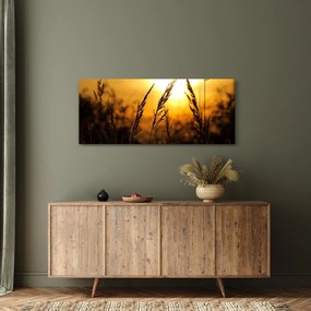 Tablou - Apus de soare (120x50 cm)