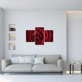 Tablou - Trandafir roșu cu picături de rouă (90x60 cm)
