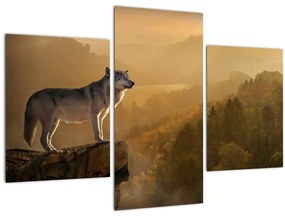 Tablou - Lup pe stăncă (90x60 cm)