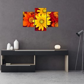 Tablou cu floare (90x60 cm)