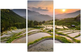 Tablou - Terase de orez (90x60 cm)